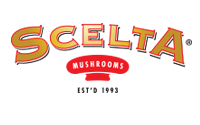 Scelta Logo naast titel portfolio