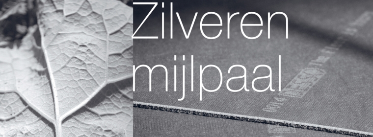 Duur ZilverenMijlpaal workholder Duur ZilverenMijlpaal workholder